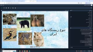 photo22578961151