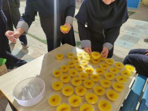 photo23799127474